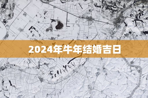 2025年蛇年结婚吉日
