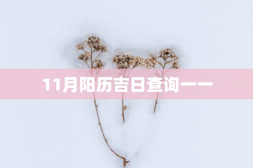 11月阳历吉日查询一一