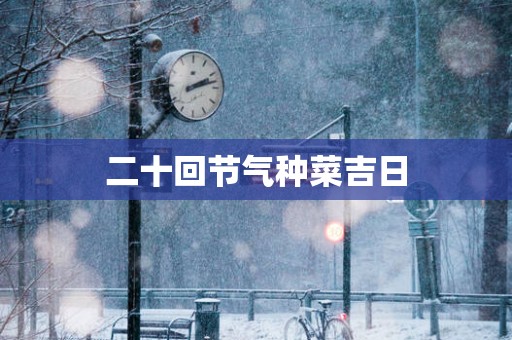 二十回节气种菜吉日