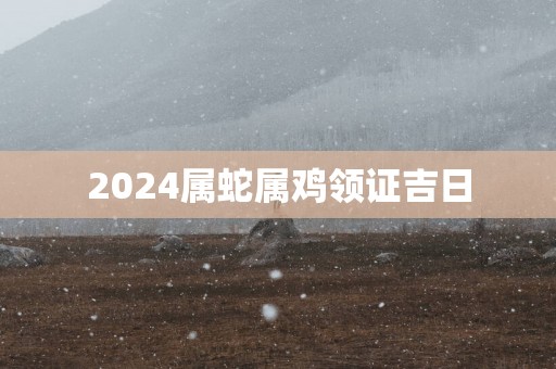 2025属蛇属鸡领证吉日