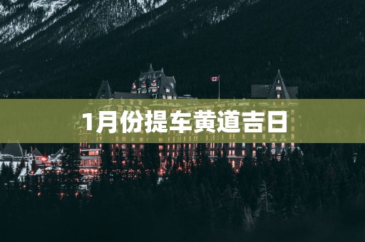 1月份提车黄道吉日