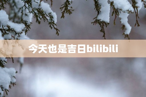 今天也是吉日bilibili