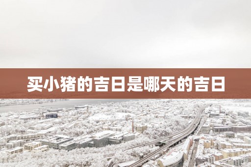 买小猪的吉日是哪天的吉日