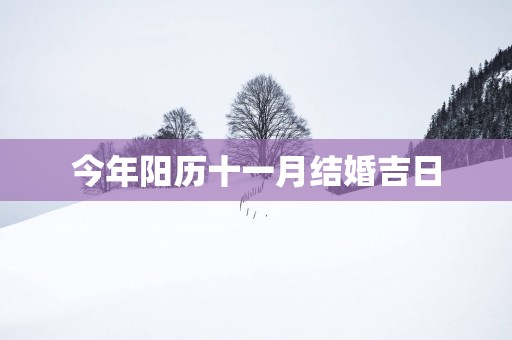 今年阳历十一月结婚吉日