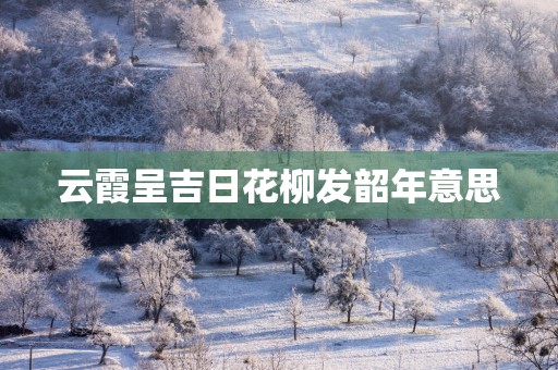 云霞呈吉日花柳发韶年意思