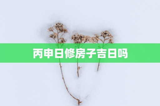 丙申日修房子吉日吗