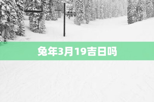 蛇年3月19吉日吗