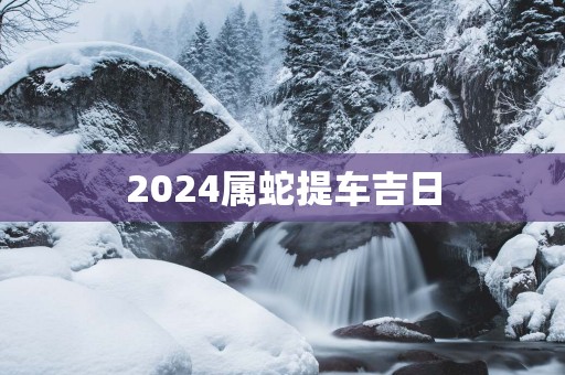 2025属蛇提车吉日
