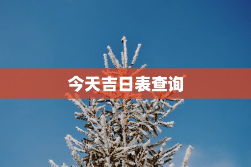 今天吉日表查询
