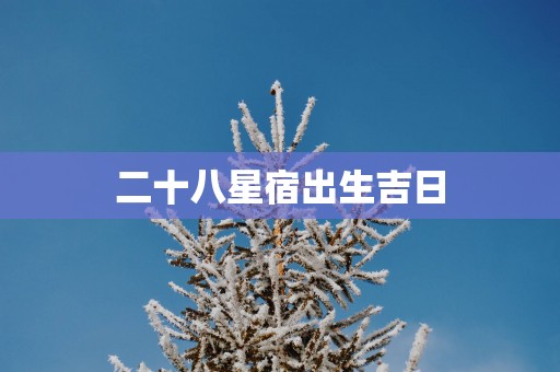 二十八星宿出生吉日