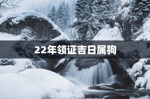 22年领证吉日属狗