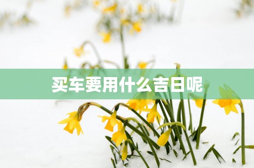 买车要用什么吉日呢