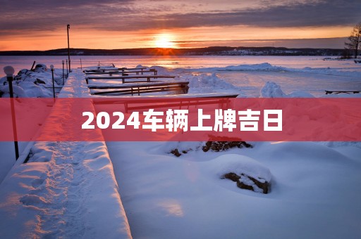 2025车辆上牌吉日