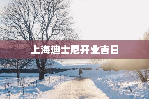 上海迪士尼开业吉日