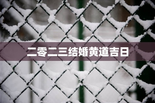 二零二三结婚黄道吉日