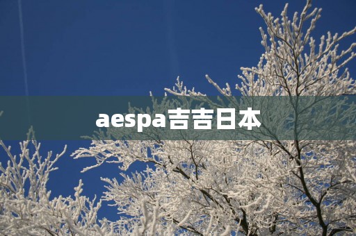 aespa吉吉日本