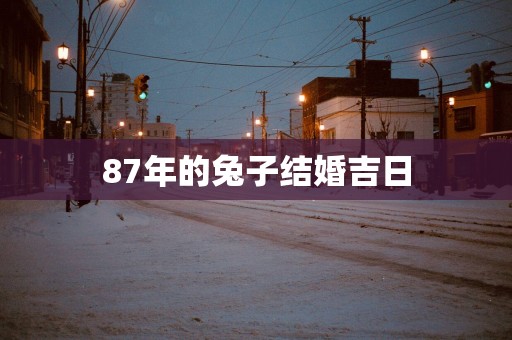 87年的兔子结婚吉日