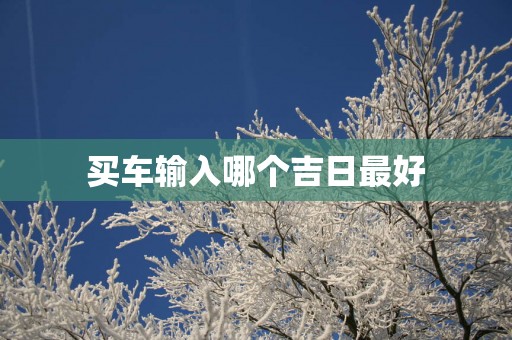 买车输入哪个吉日最好