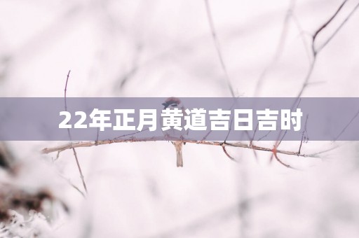 22年正月黄道吉日吉时