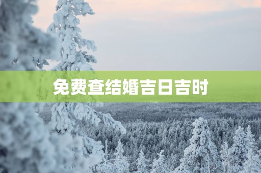 免费查结婚吉日吉时