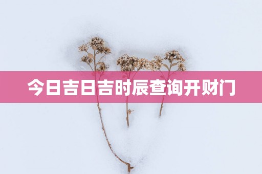 今日吉日吉时辰查询开财门