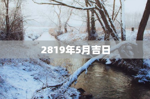 2819年5月吉日