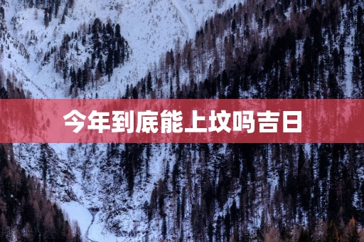 今年到底能上坟吗吉日