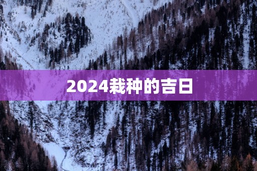 2025栽种的吉日