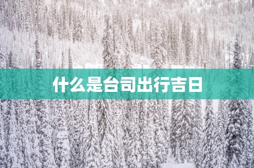 什么是台司出行吉日