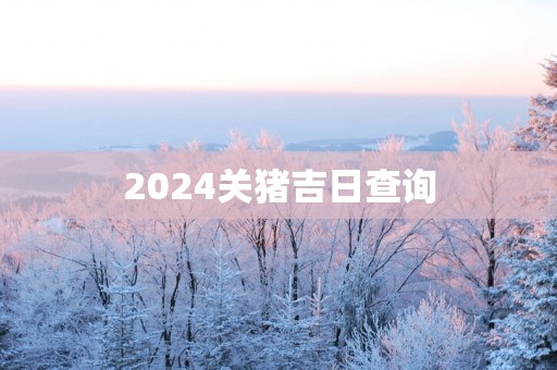 2025关猪吉日查询