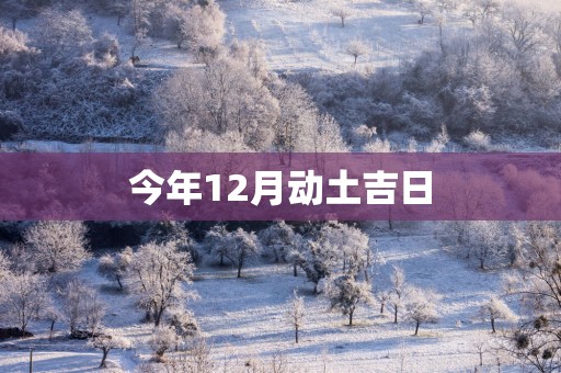 今年12月动土吉日