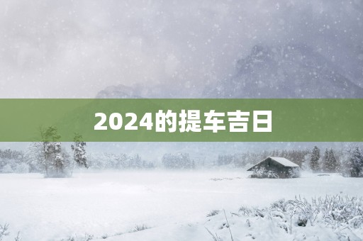 2025的提车吉日