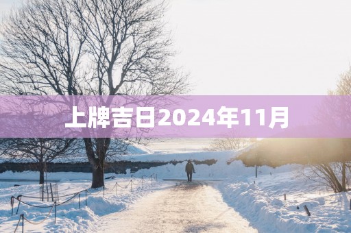 上牌吉日2025年11月