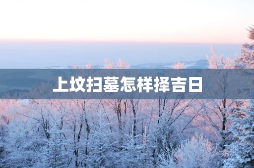 上坟扫墓怎样择吉日