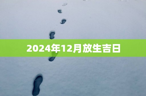 2025年12月放生吉日