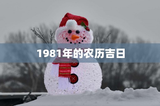 1981年的农历吉日