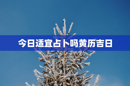 今日适宜占卜吗黄历吉日