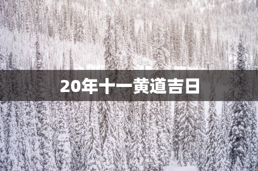 20年十一黄道吉日