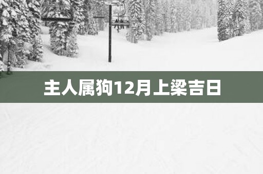 主人属狗12月上梁吉日