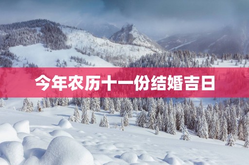 今年农历十一份结婚吉日