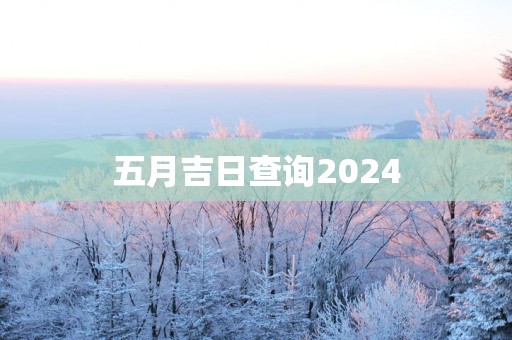 五月吉日查询2025