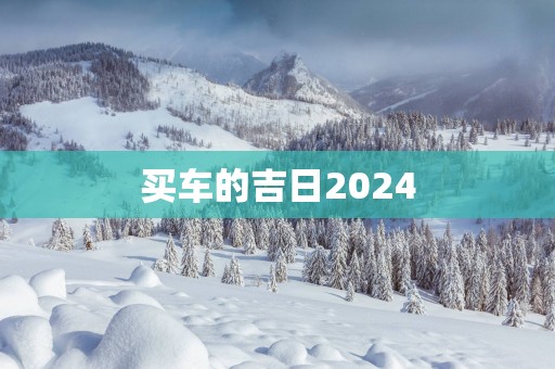 买车的吉日2025