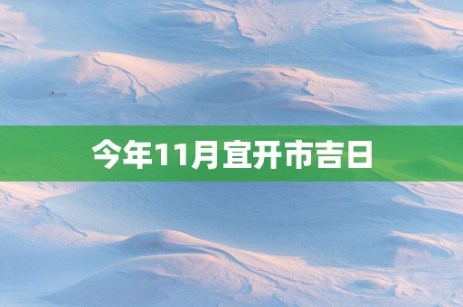 今年11月宜开市吉日