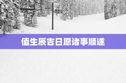 值生辰吉日愿诸事顺遂