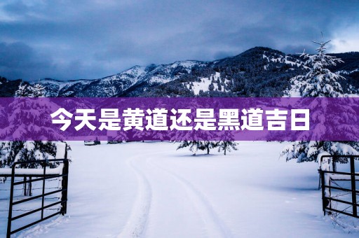 今天是黄道还是黑道吉日