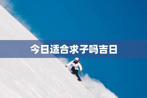 今日适合求子吗吉日