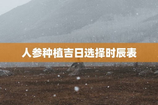 人参种植吉日选择时辰表