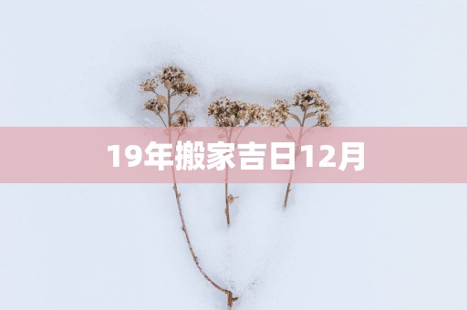 19年搬家吉日12月