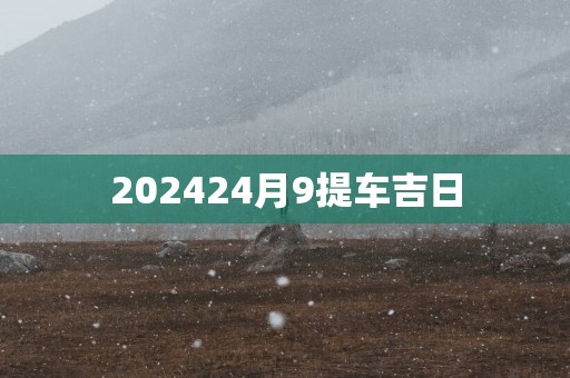 202524月9提车吉日