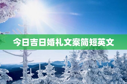 今日吉日婚礼文案简短英文